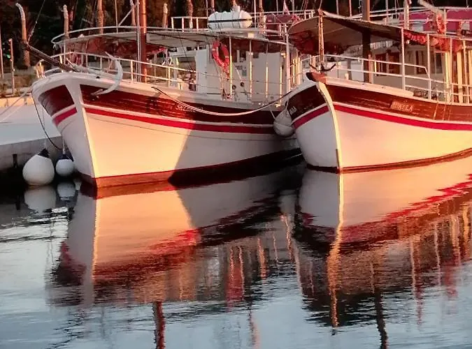 Apartamento Zpula Center