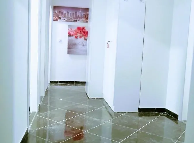 Zpula Center 公寓 普拉